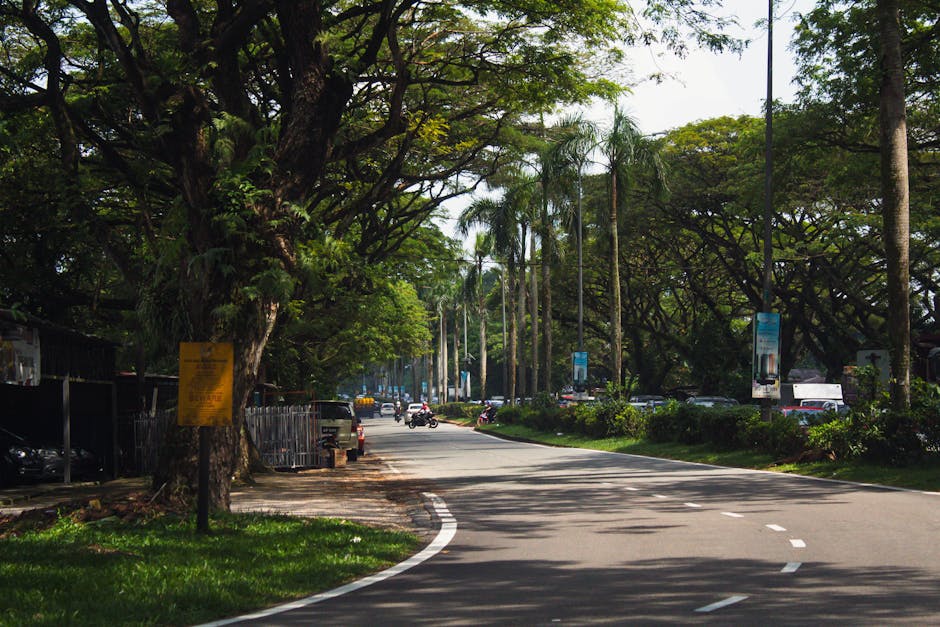 Johor Bahru Car Rental Guide: Legoland, Desaru Coast, Kluang, and Muar Day Trips
