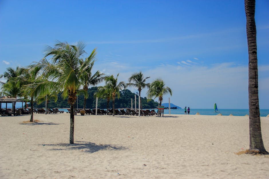 Langkawi island scenic coastal road palm trees Malaysia driving