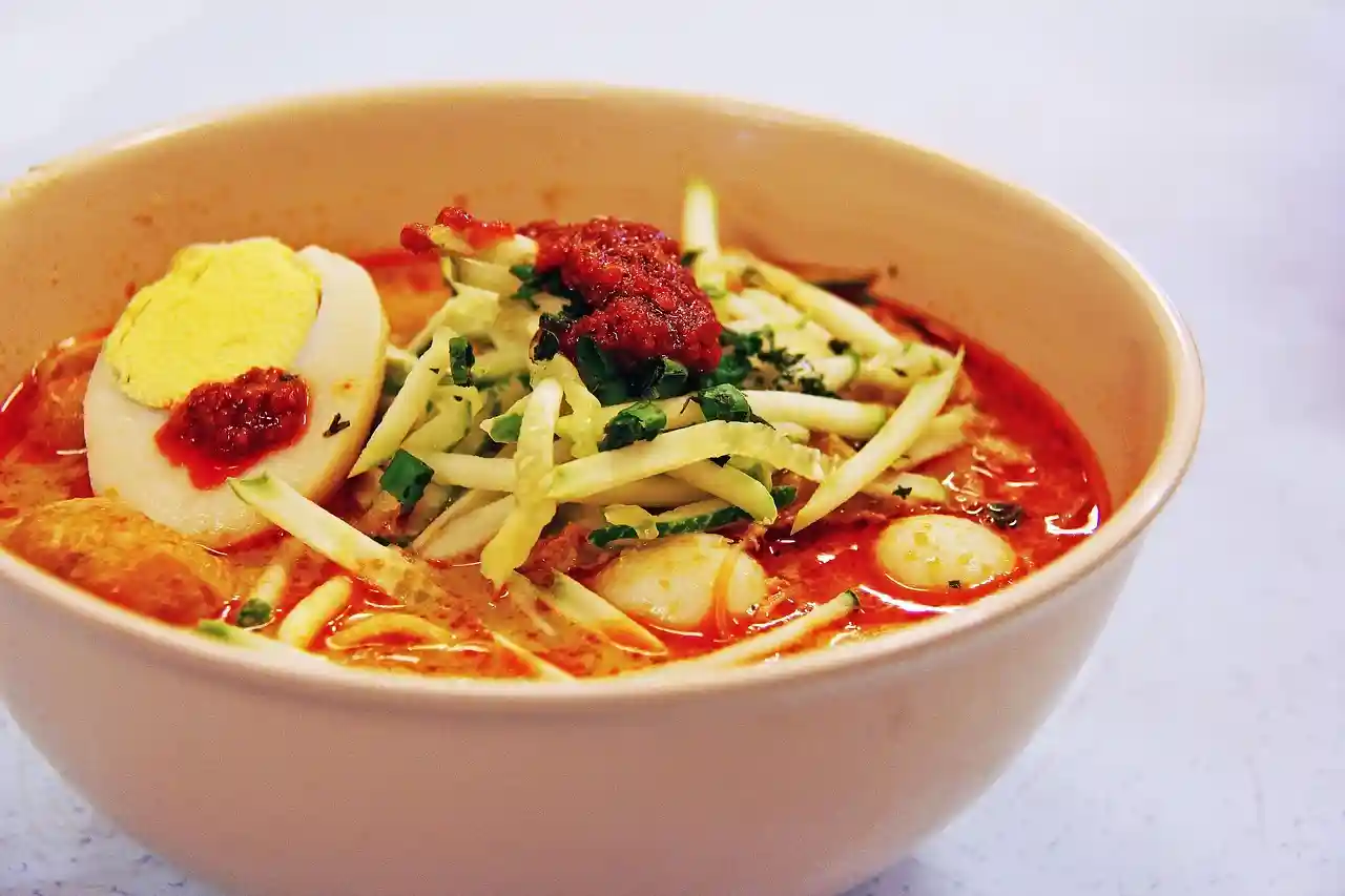 Spicy Nyonya laksa