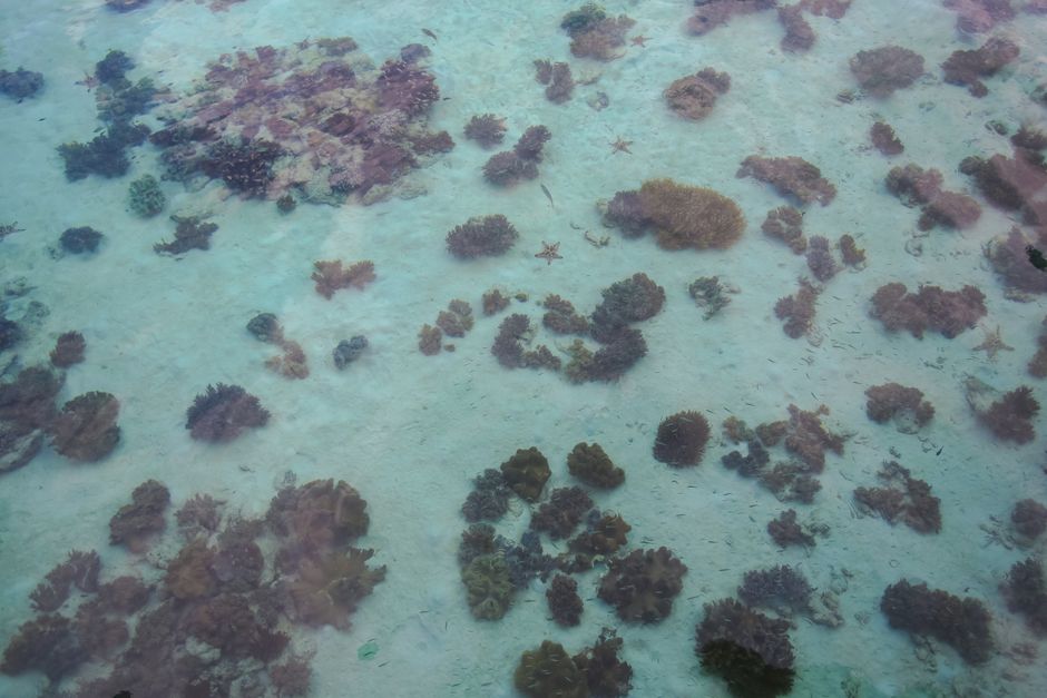 Pulau Redang crystal clear water snorkelling coral reef Malaysia Terengganu